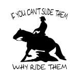 If you Can't Slide Them Why Ride Them Sticker