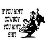 If you Ain't Cowboy you Ain't Sh!t