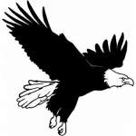 Eagle 18 Sticker