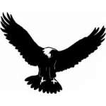 Eagle 7 Sticker
