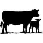 Cow 1 Sticker