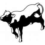 Cow 3 Sticker