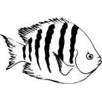 Fish Sticker 191