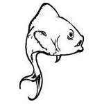 Fish Sticker 210
