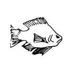 Fish Sticker 218