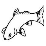 Fish Sticker 238