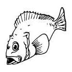 Fish Sticker 306