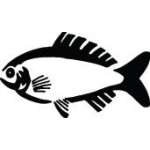 Fish Sticker 329