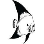 Fish Sticker 382