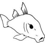 Fish Sticker 385