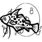 Fish Sticker 478