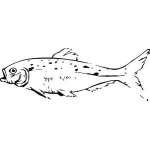 Fish Sticker 484