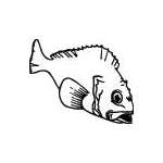 Fish Sticker 504