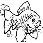 Fish Sticker 543