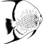 Fish Sticker 618