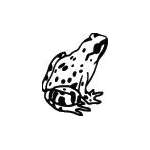 Frog Sticker 3