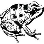 Frog Sticker 17