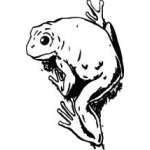 Frog Sticker 19