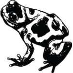 Frog Sticker 22