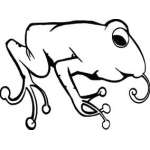 Frog Sticker 23