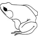 Frog Sticker 29