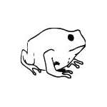 Frog Sticker 46
