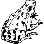 Frog Sticker 51