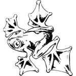 Frog Sticker 54