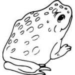 Frog Sticker 57