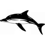 Dolphin Sticker 207