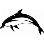 Dolphin Sticker 209