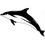 Dolphin Sticker 220