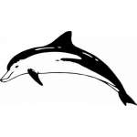 Dolphin Sticker 224