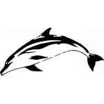 Dolphin Sticker 227