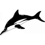 Dolphin Sticker 238