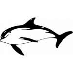 Dolphin Sticker 240