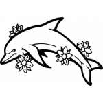 Dolphin Sticker 242