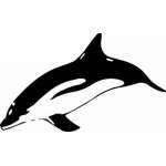 Dolphin Sticker 279
