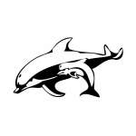 Mother and Baby Dolphine Sticker