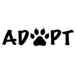 Adopt Cat Sticker