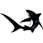 Shark Sticker 45