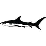 Shark Sticker 46