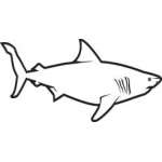 Shark Sticker 56