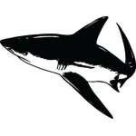 Shark Sticker 68