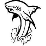 Shark Sticker 80