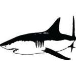 Shark Sticker 82