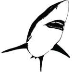 Shark Sticker 106
