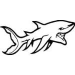 Shark Sticker 107