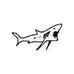Shark Sticker 116