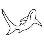 Shark Sticker 123